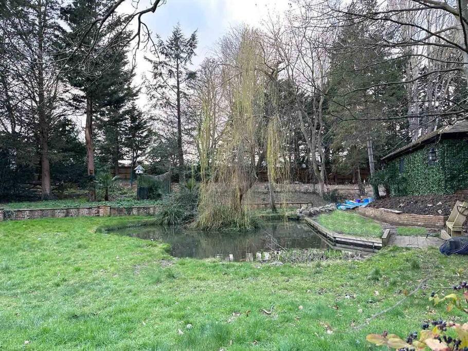 Forest Studio Apt Free Gated Parking On 2 Acres Garden Чізлхерст Екстер'єр фото