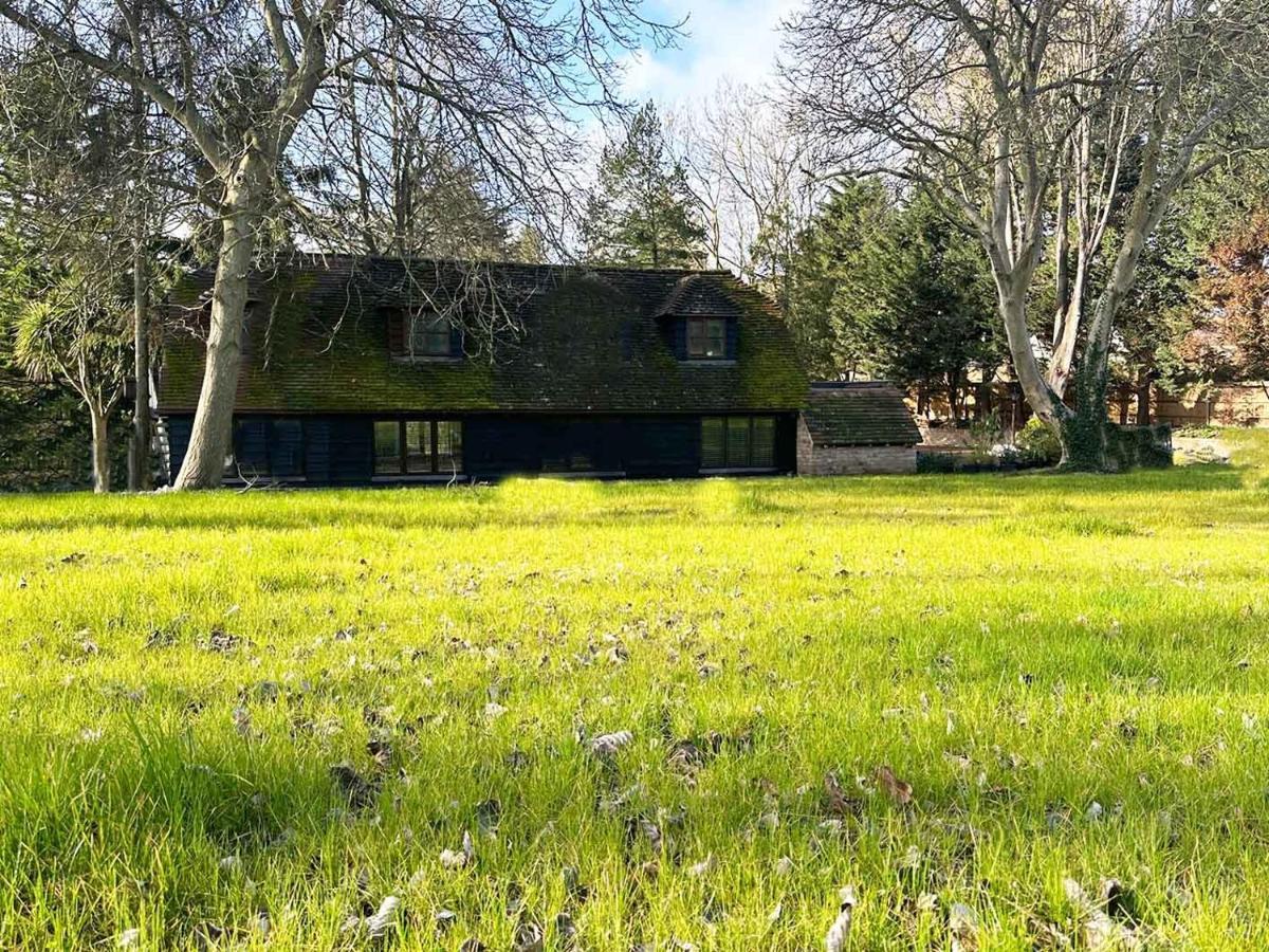 Forest Studio Apt Free Gated Parking On 2 Acres Garden Чізлхерст Екстер'єр фото