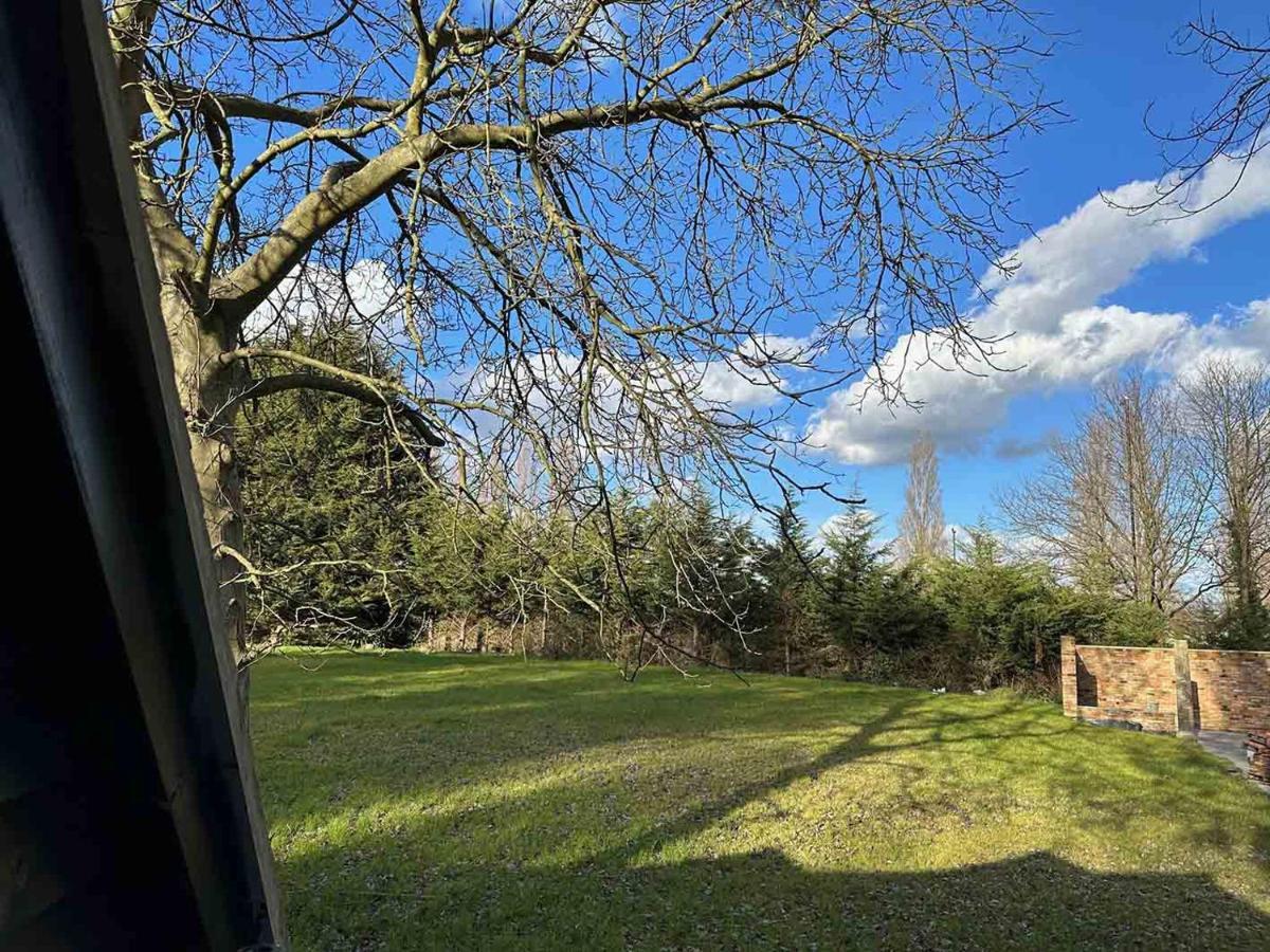 Forest Studio Apartment Gated Parking On 2 Acres Garden Чізлхерст Екстер'єр фото